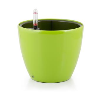 G21 önöntöző kaspó Ring mini 15cm, zöld