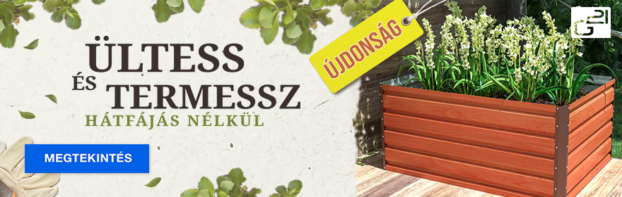 Újdonság – Daisy