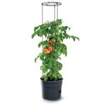 Prosperplast TOMATO GROWER kaspó paradicsom termesztésre 29,5 cm antracit